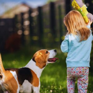 Book Dog Poop Cleanup in Etobicoke